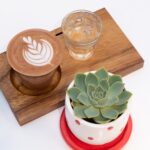 Mini Succulent Trio